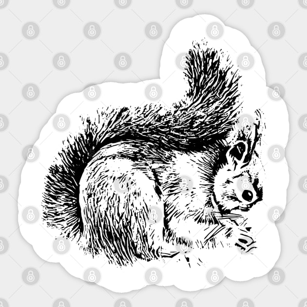 Squirrel Sticker by Nimmersatt